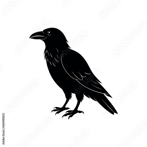 A raven Bird's silhouette art vector illustration.