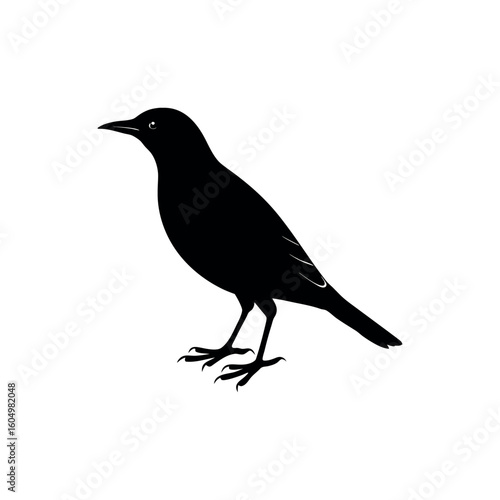 A starling Bird's silhouette art vector illustration.