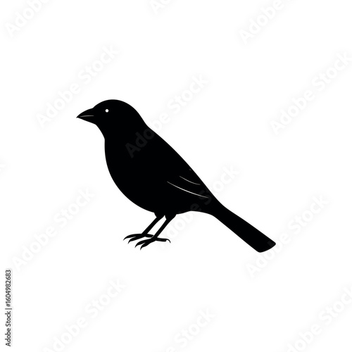 A tanager Bird's silhouette art vector illustration.