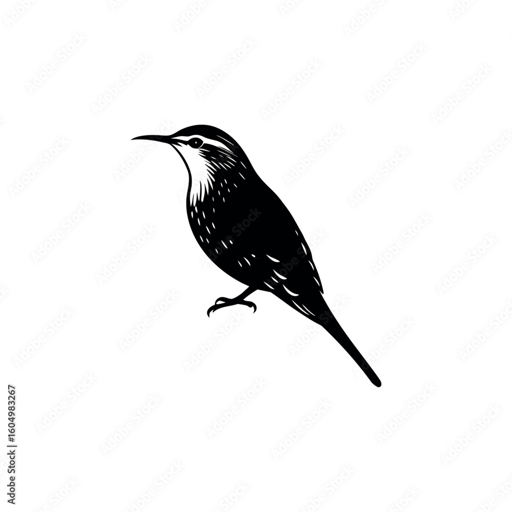 Obraz premium A treecreeper Bird's silhouette art vector illustration.