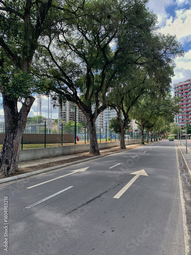 Wallpaper Mural A calm urban street with two-way traffic markings on asphalt. Mature trees shade a fenced park area on the left, A calm urban street with two-way traffic markings on asphalt.  Torontodigital.ca