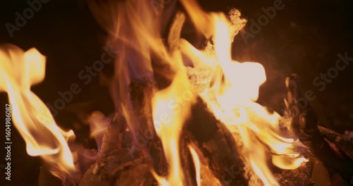 Wallpaper Mural Sacred Flames of Holika Dahan Torontodigital.ca