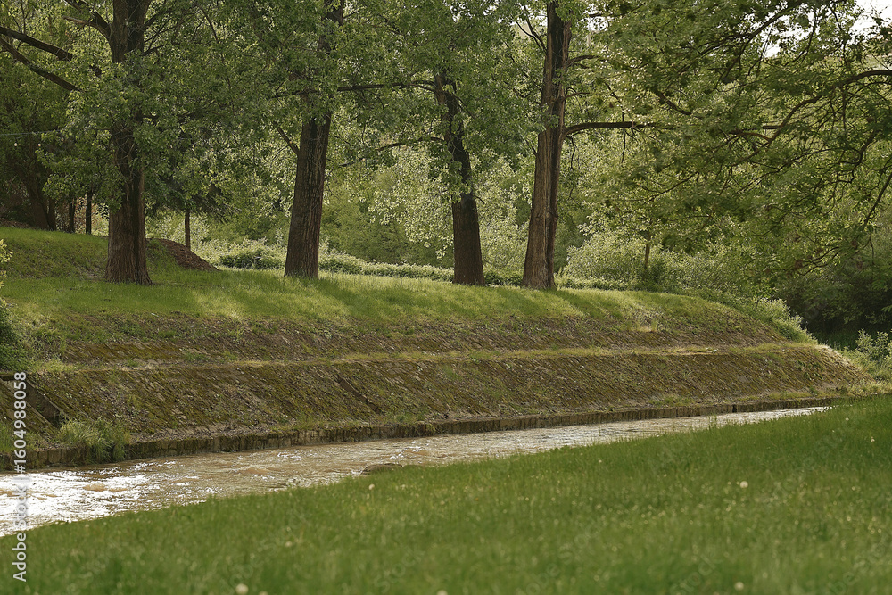 Obraz premium a muddy river flowing through a wooded area, surrounded by lush green vegetation and trees. The water appears to be dirty and brown due to sediment and the natural enviro