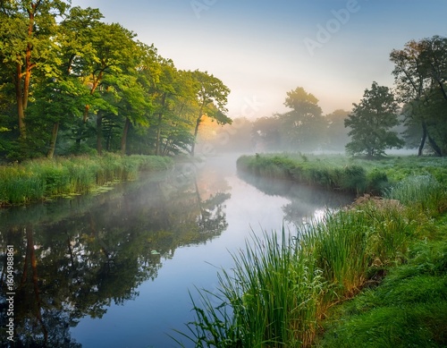 Wallpaper Mural misty morning on forest river in summer netherlands Torontodigital.ca