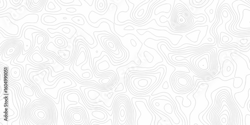 Abstract minimal The patter discovery vector topo map. white topo creative discovery White wave grid stripe line map topography. vector geographic contour mounted map background.	