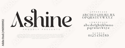 Elegant Modern Serif Font . Ashine Luxury Display Typeface. Typography luxury classic lettering serif italic fonts decorative wedding vintage retro logos. vector illustration