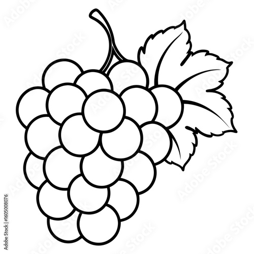 Grape Cluster Vector