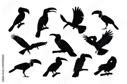 Collection of silhouetted toucans and birds of prey in various dynamic poses against a white background