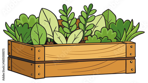 Fresh greens in a wooden crate for gardening or cooking  