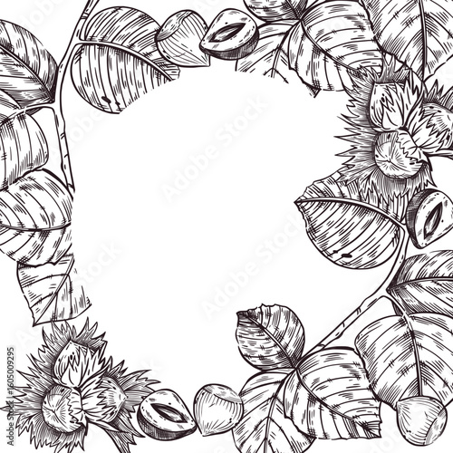 Hazelnut, hazelnut, hazelnut, tree leaf and split walnut vector frame. All objects are hand-drawn with ink. The illustration is suitable for printing on the packaging of goods, cosmetics, kitchen.