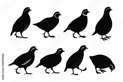Collection of silhouettes depicting various poses and movements of quail birds in a naturalistic style