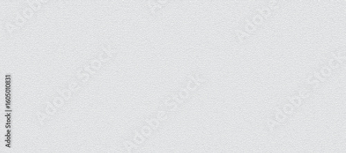 Wallpaper Mural white paper texture background with noise glitter smooted background Torontodigital.ca