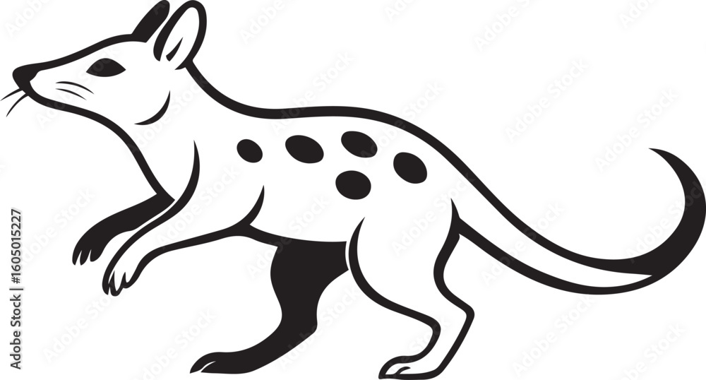 Fototapeta premium Spotted quoll black and white silhouette marsupial, Quoll animal vector with simple details