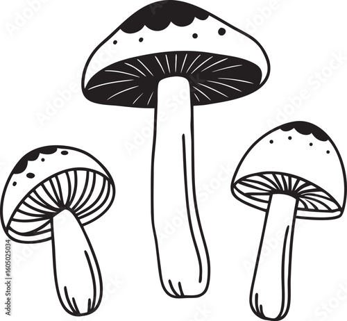 mushrooms vector illustration  silhouette