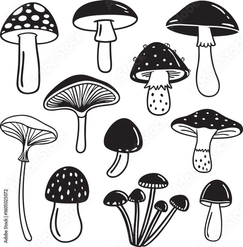 set of mushrooms vector