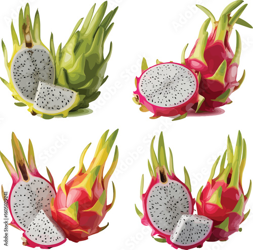 Fresh Dragon Fruit Vector Collection – High-Quality Tropical Fruit Images