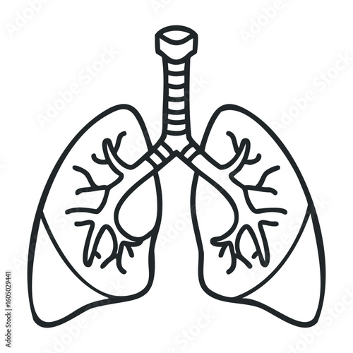 Simplified line drawing of human lungs. Vector illustration