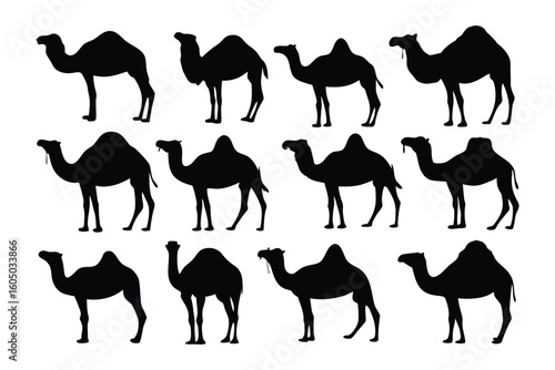 Collection of diverse dog breed silhouettes showcasing various poses and styles of canine companions