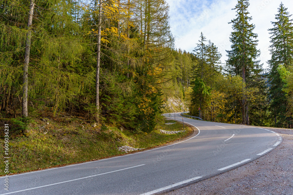 Naklejka premium A curved paved road winds through a forest of evergreen and yellow-leaved trees, creating a peaceful autumn landscape ideal for scenic drives or walks.