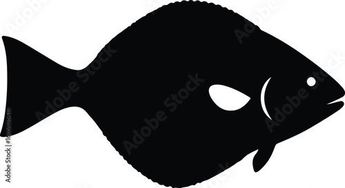 Silhouette Turbot flatfish sea creature animal vector illustration
