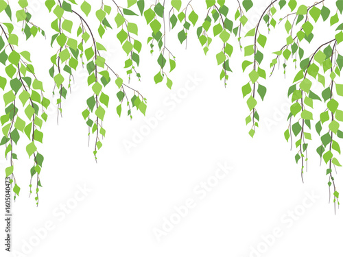 Vector Background with Green Weeping Birch Branches.