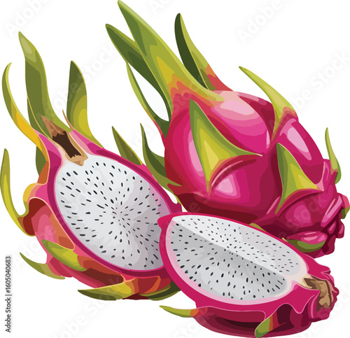 Fresh Dragon Fruit Vector Collection – High-Quality Tropical Fruit Images
