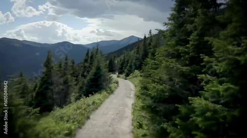 Mountain Trail Through Lush Forest
