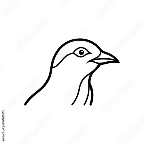 A thrush Bird's line art vector illustration.