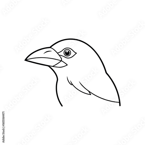 A jackdaw Bird's line art vector illustration.