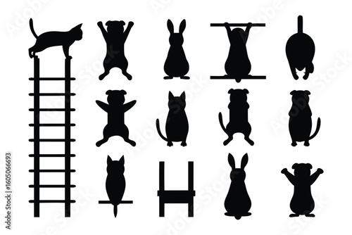 Collection of diverse black silhouette dog toys including ropes rings dumbbells and chewable objects