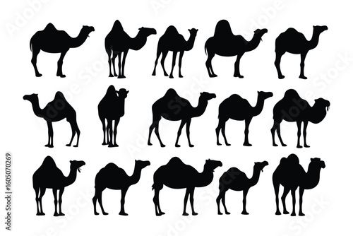 Collection of diverse dog silhouettes showcasing various breeds and poses in a clean vector illustration