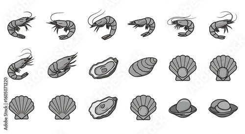Greyline illustrations of various shellfish and shrimp, including whole and open shellfish, and different shrimp poses.