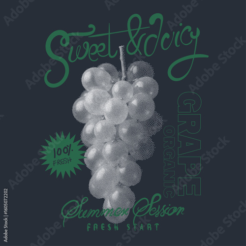 Grape fruit artwork. Fresh food artwork for for t shirt. Fresh grapes fruit print. Nature watercolor design. Summer food poster design.