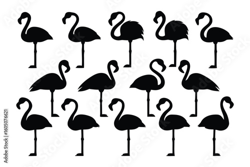 A grid of twelve identical black swan silhouettes floating gracefully on white water