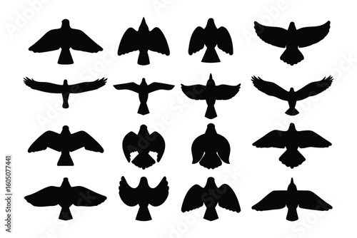 Silhouettes of various wading birds displayed in rows against a white background showing distinct poses