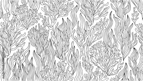 Detailed line drawing of various underwater coral and seaweed formations isolated on white background