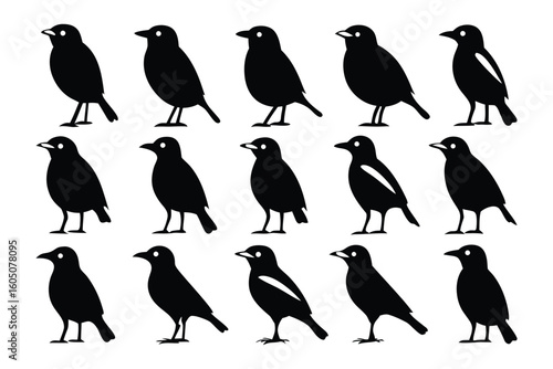 Collection of silhouetted pelicans in various poses and styles on white background