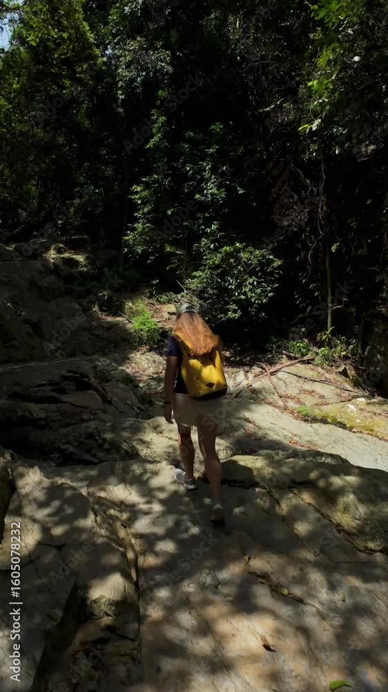 Vertical video. Woman Walking Alone on Rocky Jungle Path Surrounded by Dense Trees, Rear View, Exploration Concept Vertical video. Woman Walking Alone on Rocky Jungle Path Surrounded by Dense Trees, Rear View, Exploration Concept