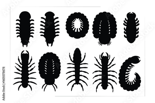 Collection of silhouettes of various insect species showcasing diverse anatomical features and forms