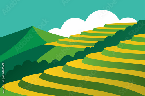 Rice terraces on hillside agricultural farming view
