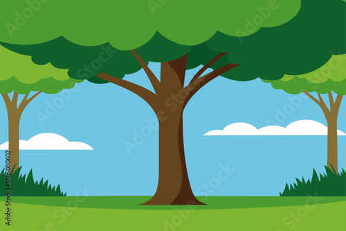 Tree canopy over lawn shaded green outdoor area