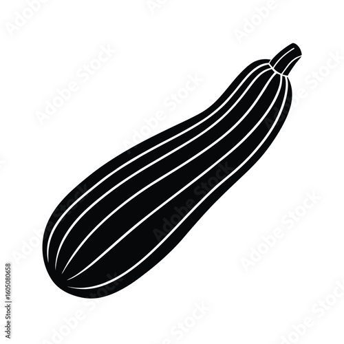 vector illustration of a zucchini