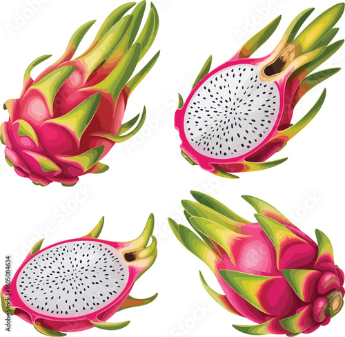 Fresh Dragon Fruit Vector Collection – High-Quality Tropical Fruit Images