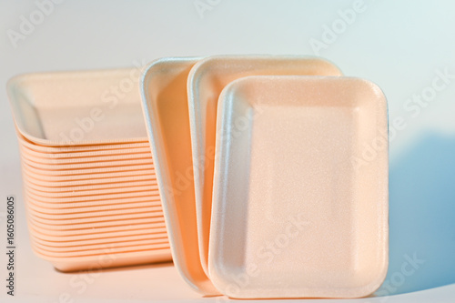 Disposable Foam Trays with Minimal Design