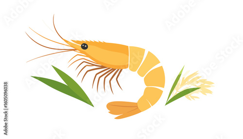 Flat design illustration of a curved orange shrimp with a segmented body and rice plant.
