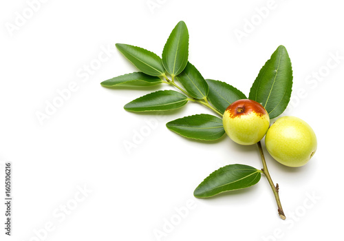 Indian jujube boroi fruit on branch with green leaves 1