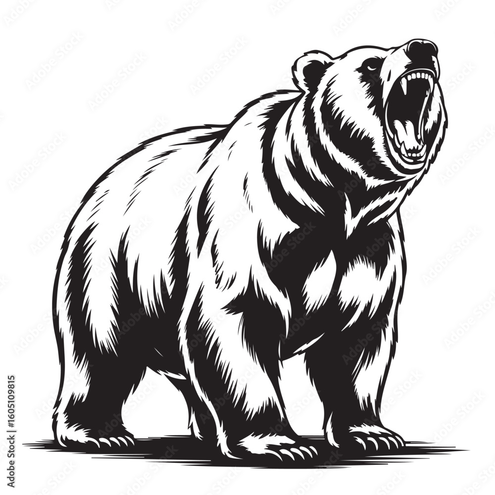 Obraz premium Fierce grizzly bear standing tall with open mouth and sharp claws vector design