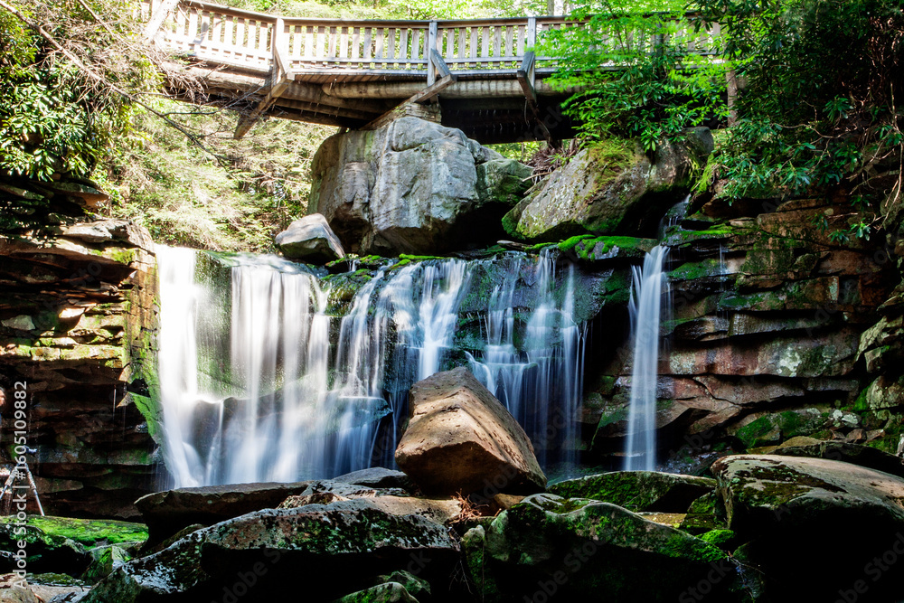 Fototapeta premium Elakala Falls, Blackwater Falls State Park, West Virginia