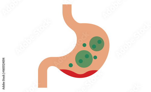 Illustrated Diagram of a Stomach with Digestion Visualization and Bacteria