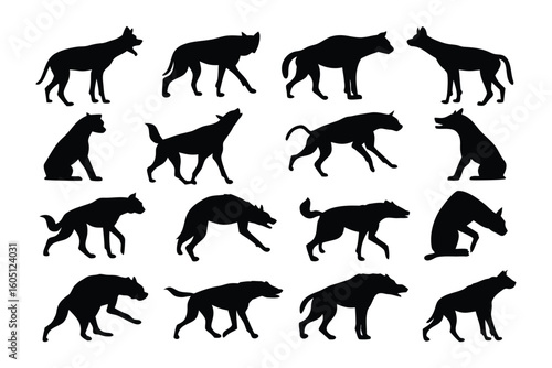Collection of silhouetted seals in various poses demonstrating their unique body shapes and flippers
